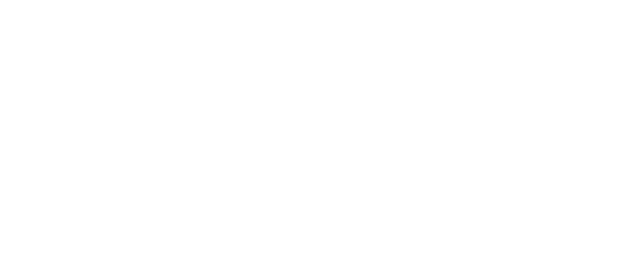 Curso Vossa Excelência